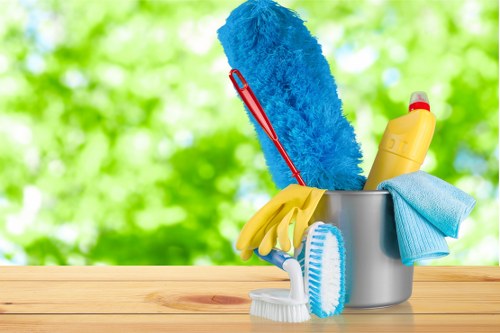 Professional Soho cleaner maintaining a spotless interior space