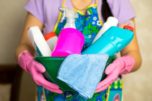 Professional Soho Cleaner team maintaining a clean and polished interior