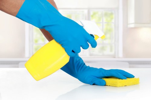 Gutter cleaning service for Soho properties with careful roofline maintenance