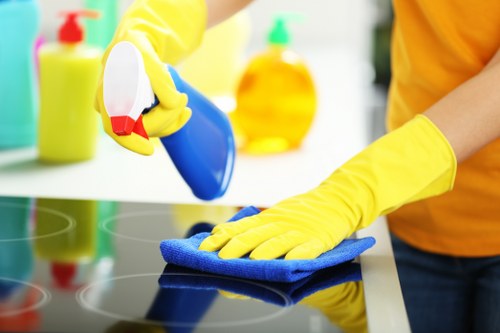 Soho cleaning professionals working in a contemporary workspace