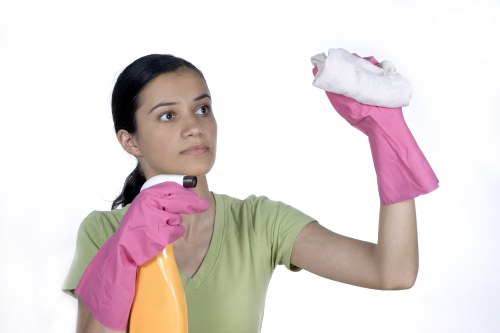 Invoice and payment details for a cleaning appointment