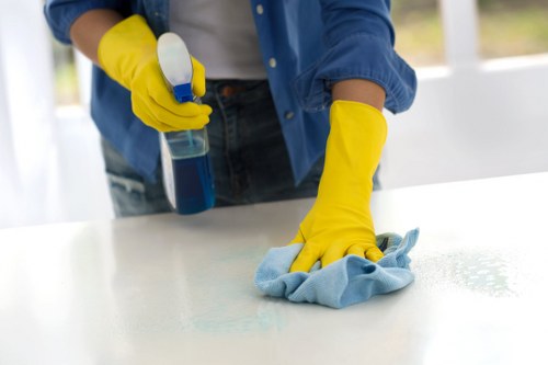 Pet stain cleaning service for a busy Soho home or business space