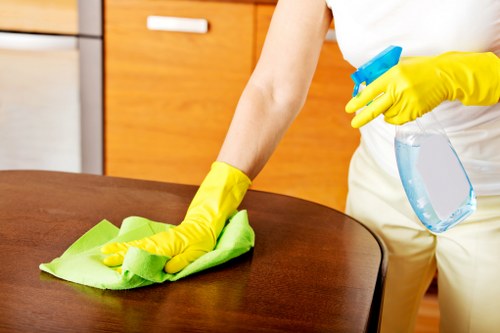 Deep cleaning tasks for a Soho kitchen and bathroom during a one off service