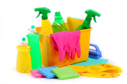 Protective cleaning supplies and safety measures in use